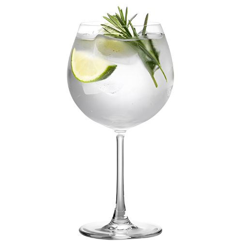 Set 6 Copas de Gin Tonic 650ml