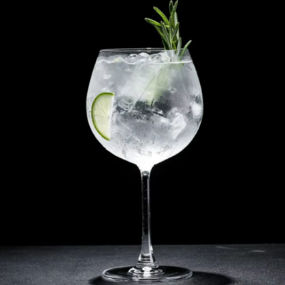 Set 6 Copas de Gin Tonic 650ml