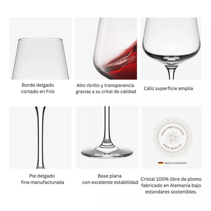 Set 6 Copas Vino Ramazzotti Hausmann 544