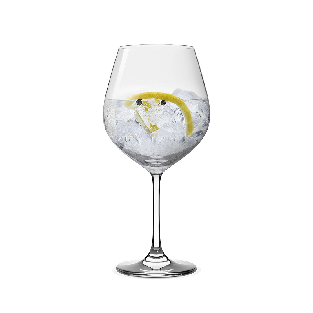 Copas Gin Tonic Hausmann 750 ML