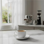 Set 6 Tazas de Café Espresso 80ml con Plato | Porcelana Blanca
