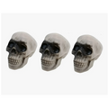 Pack 3 Craneos Adornos Decoracion Halloween