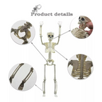 Esqueleto Decorativo Halloween (90 CM)