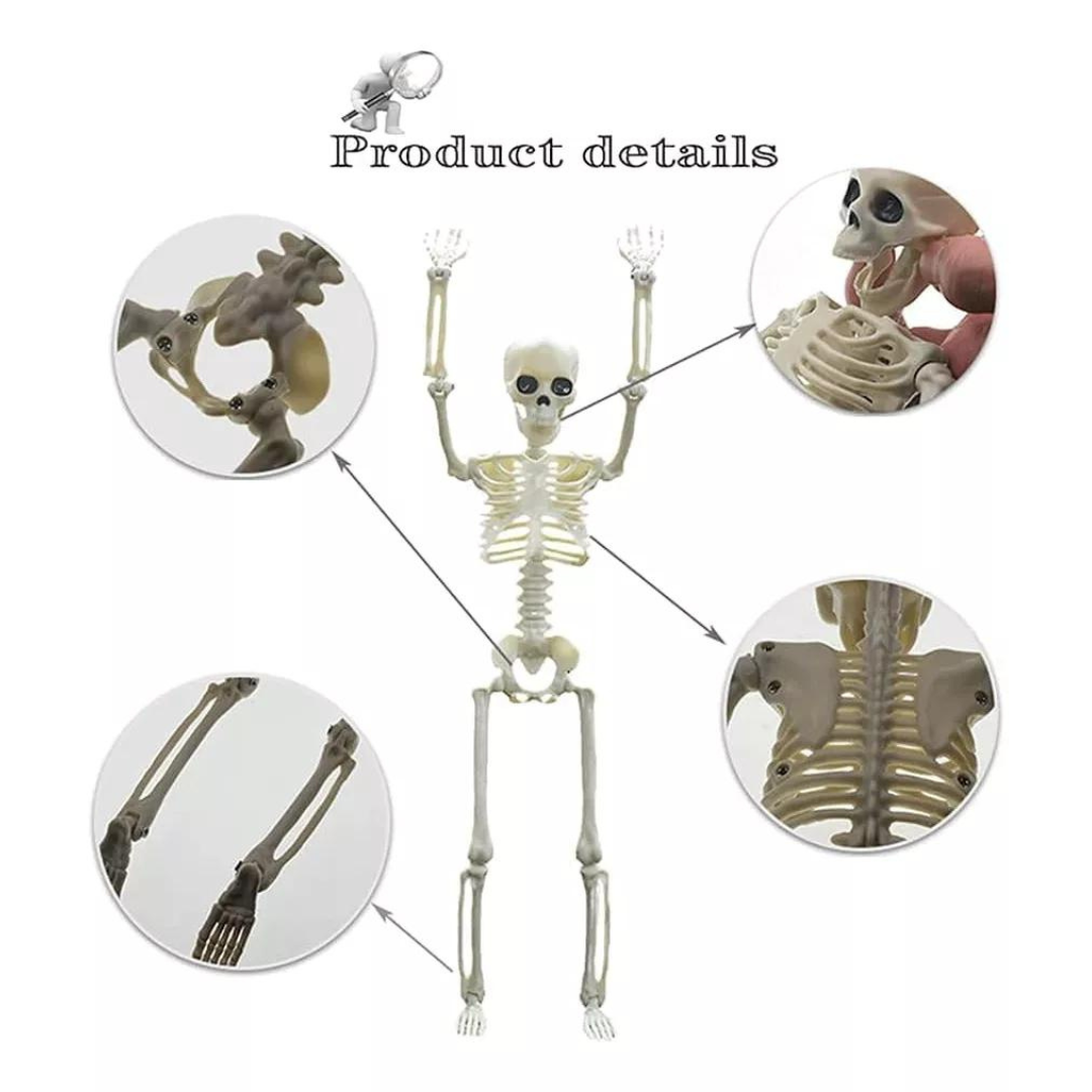 Esqueleto Decorativo Halloween (90 CM)